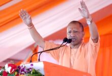 Photo of गौ सेवा को प्रदेश की तरक्की से जोड़ेगी यूपी सरकार