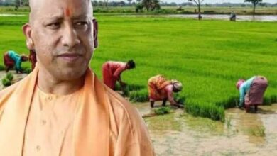 Photo of योगी सरकार ने जारी किये गुरुवार तक की फर्टिलाइजर उपलब्धता के आंकड़े