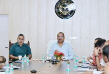 Photo of रूफ टॉप गार्डेनिंग से संवरेगी शहरी क्षेत्र में बागवानी: दिनेश प्रताप
