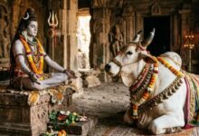 Photo of शिव जी के ठीक सामने ही क्यों विराजमान रहते हैं नंदी महाराज?